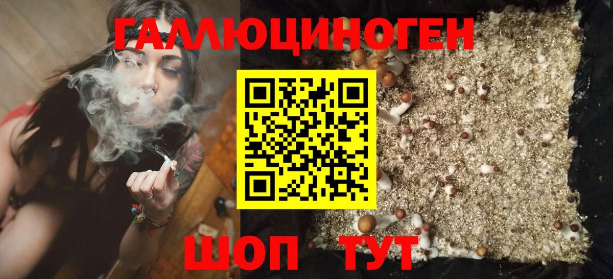 Псилоцибиновые грибы прущие грибы  Галлюциногенные грибы Cubensis  наркошоп  Элиста  Вход с VPN 