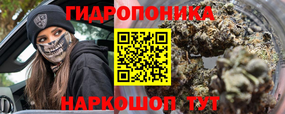 МАРИХУАНА сатива Элиста